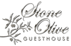 cropped stone olive logo silver.png
